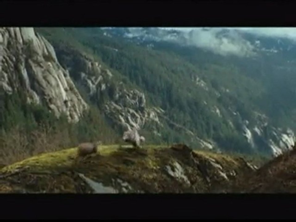 Twilight: Breaking Dawn Part 1 trailer released