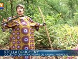La vigne qui colonise des forêts de France