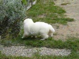 les jolis bébés de DGYN ET KIBA 2