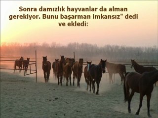 Siz Hiç Hayallerinizden Sıfır Aldınız mı