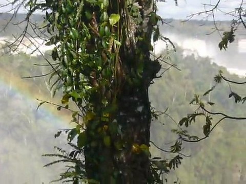 1_ Chutes d'Iguaçu avec arc-en-ciel, coté Brésil