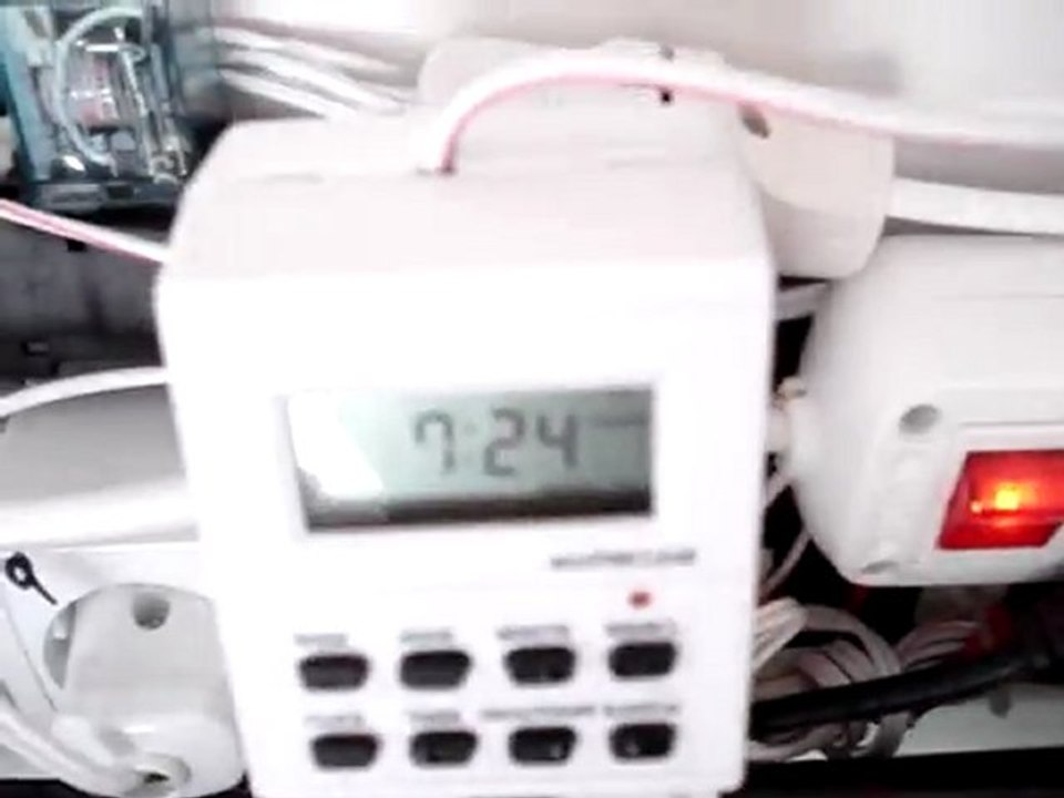 MOV09984