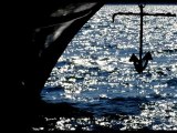 Ayvalık ve Cunda - Bin Rüzgar Ülkesinde Deniz ve Yaşam