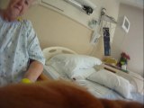 Dog cam #30 Swedish/Edmonds Therapy Pup