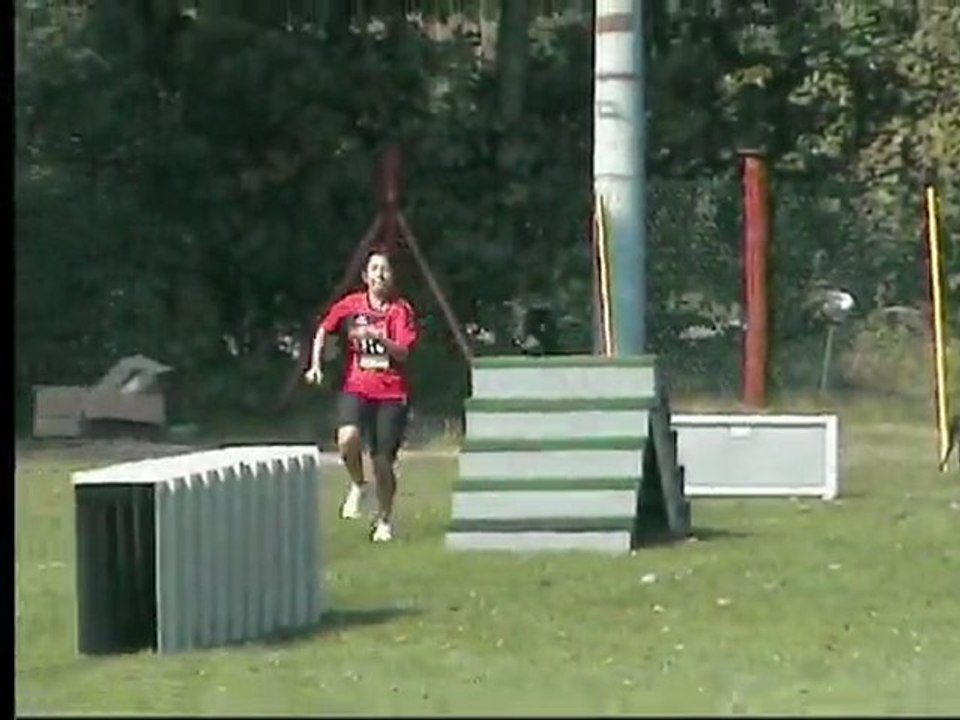 Hueffenhardt2011