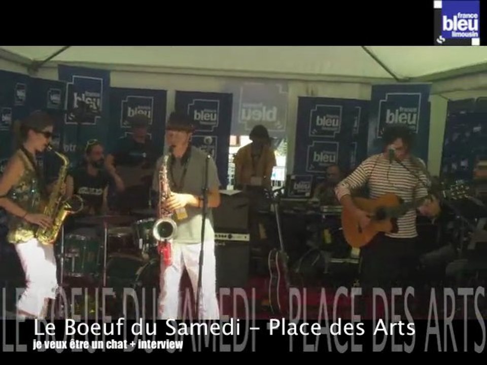 place des arts 1 - nuits de nacre 2011 - je veux être un chat