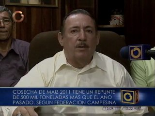 Se produce más maíz que en 2010