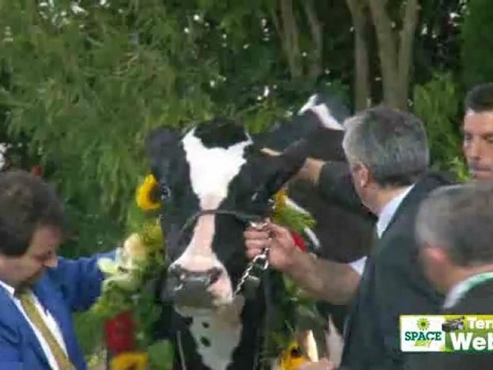 [En direct] Space 2011 - Twinmiza, grande championne du Concours Prim'holstein Atlantique