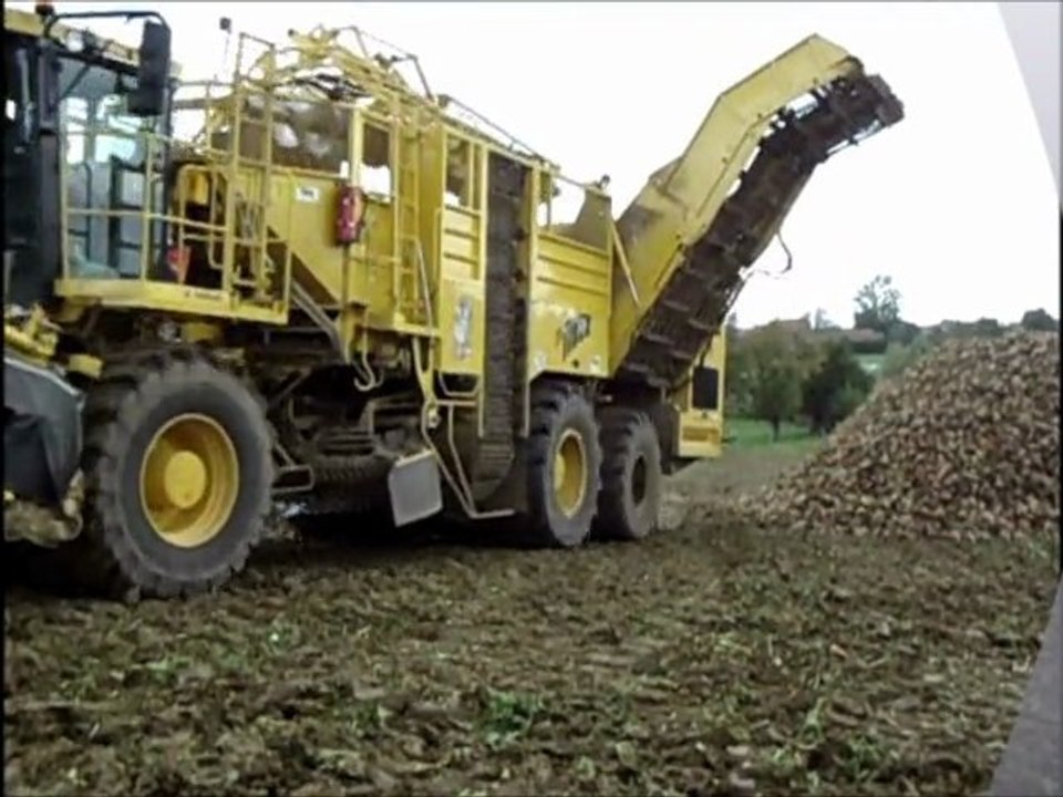 Arrachage de béteraves avec une ropa tiguer.