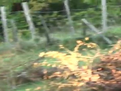 opel kadett c gte gr2 limonest 2011 numero 324 ( vh)