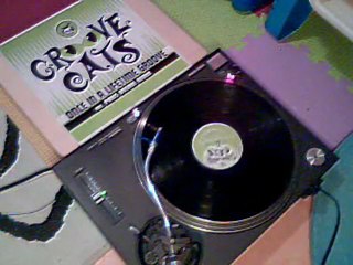 Groove Cats - Once in a lifetime groove (2006)