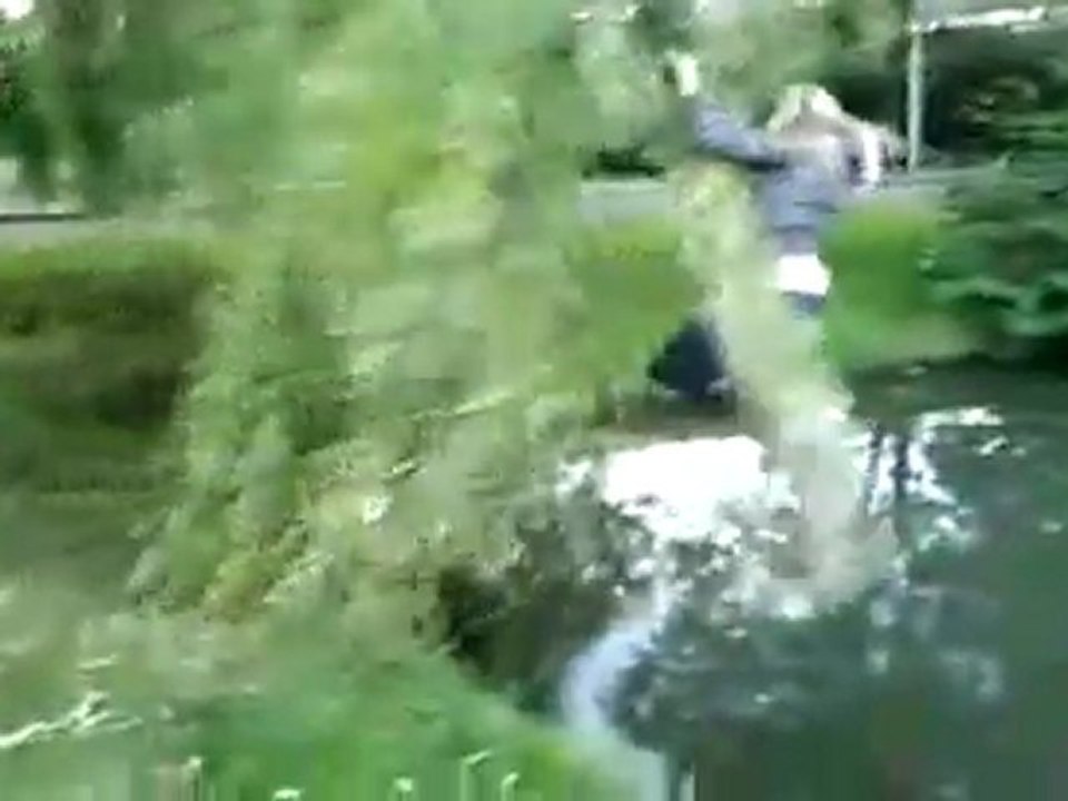 Baum will nicht Mädchen Fail