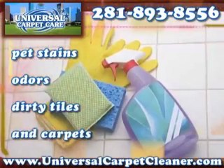 Carpet Cleaning Houston Call             281-893-8556