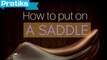 Horse Riding - How to put on a saddle