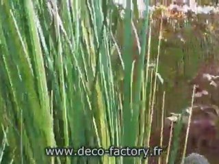 fausse herbe des marais artificielle sur deco-factory.fr