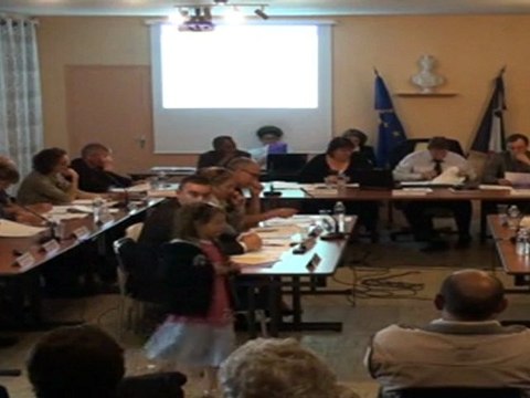 Séance du 29 avril 2011 - Compte-rendu de délégations