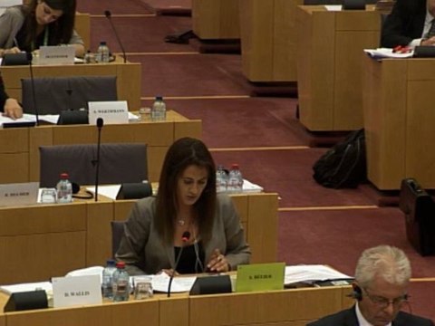 Ours brun en Commission Pétitions - Partie 3/3 - Sandrine Bélier