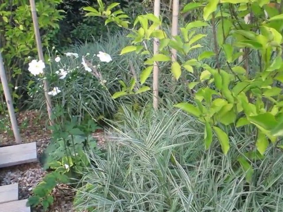 Le jardin du Conseil général à Chaumont-sur-Loire en 2011