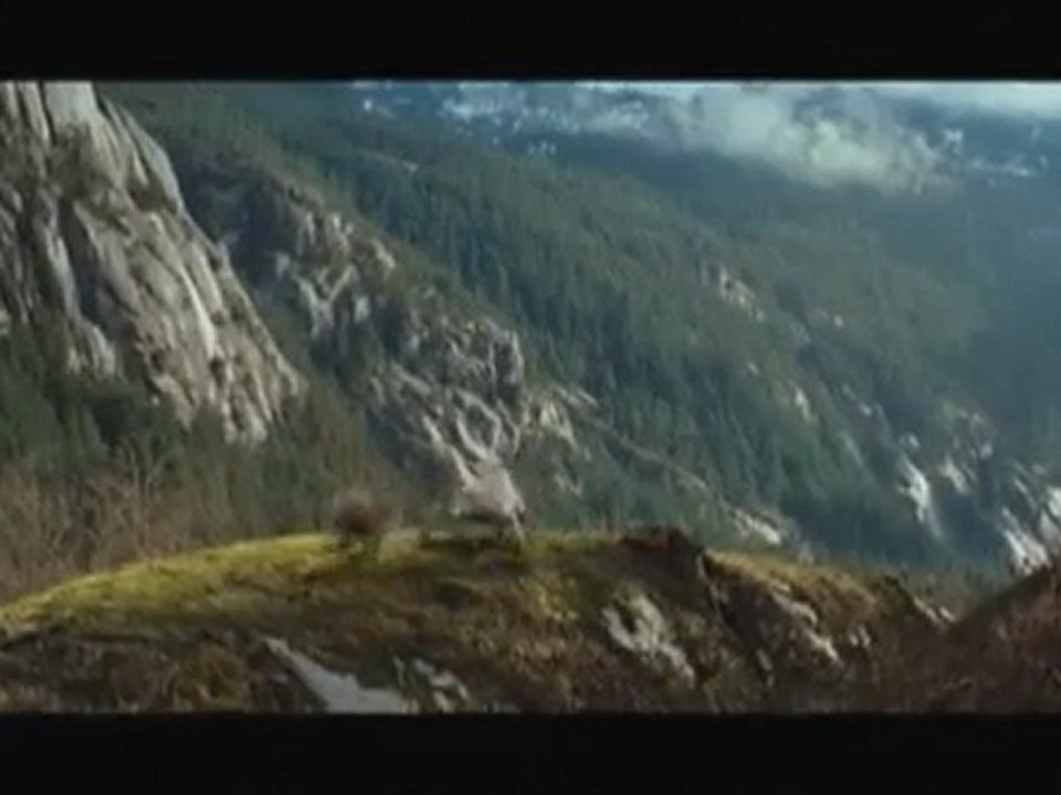 Twilight highlights revealed
