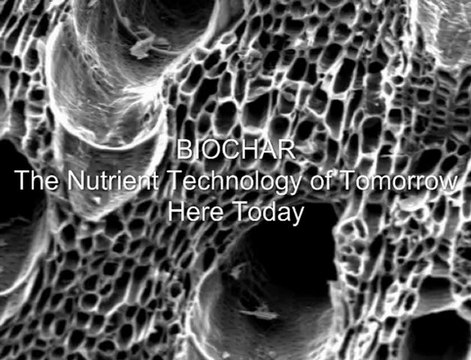 Leveraging Terra Preta, Global Carbon Advisors, Experts in Using Biochar