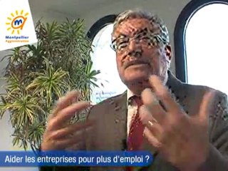 Agglo TV : Aider les entreprises pour plus d'emploi ?