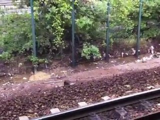 RER E Val de Fontenay