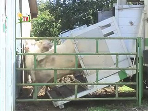 JT Vendée agricole TV vendredi 16 septembre