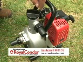 2_PASION POR EL BRAHAMAN 2 SEPTIEMBRE 17 DE 2011