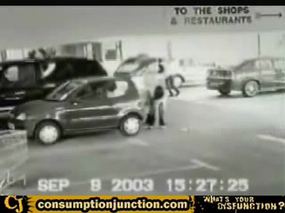 La Fille Qui Fait Ces Courses Et Qui Pousse Son Cadis