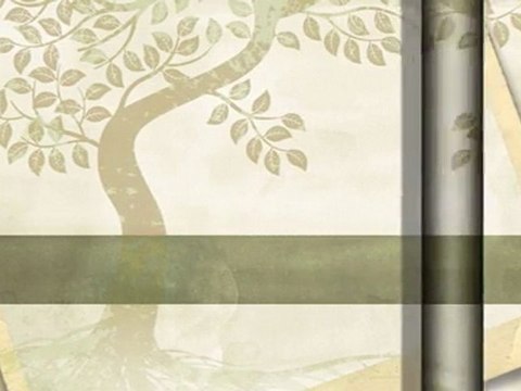 Texas Senior Personal Care; adults companion and home care