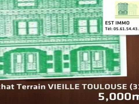 A vendre - terrain - VIEILLE TOULOUSE (31320) - 5 000m²