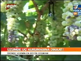 EGETV Uç Kuruması 11.08.2011