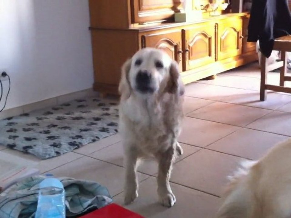 Les monstres en pleine discussion :)