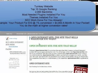 Open Internet Site For Sale | Turnkey Website For Sale