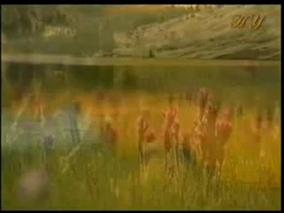 Hz. Muhammed (sav)'in hikmetli ve etkileyici konuşması