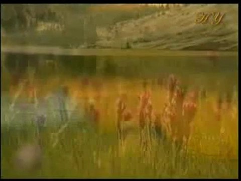 Hz. Muhammed (sav)'in hikmetli ve etkileyici konuşması