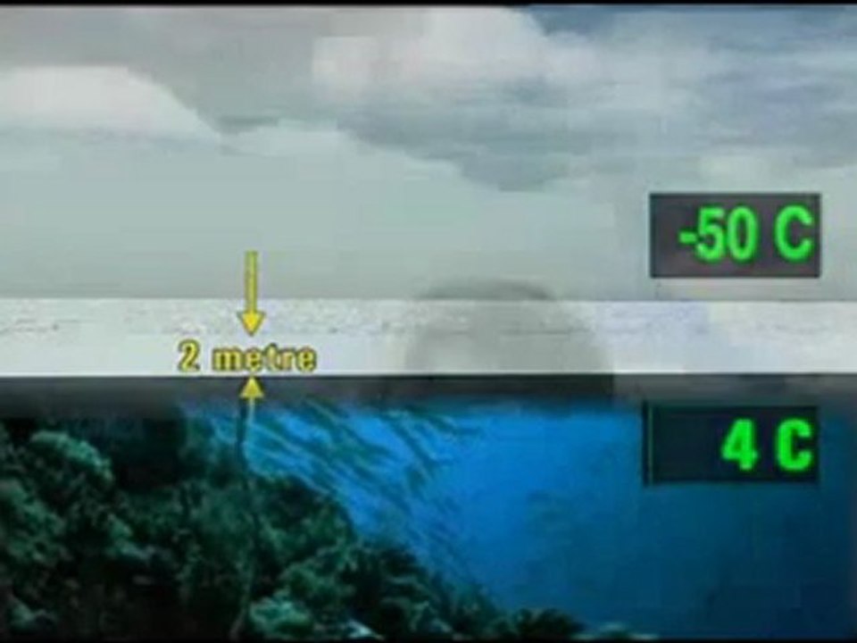 Suyun olağanüstü özellikleri