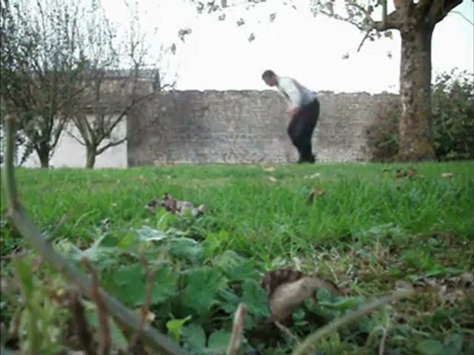 demi vrille sur un arbre