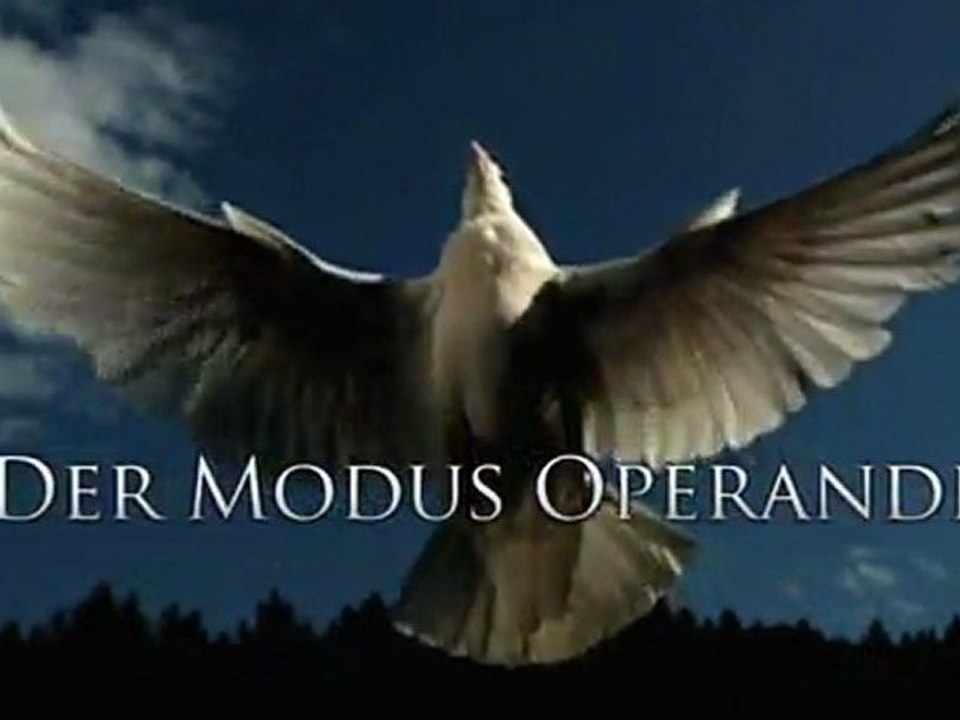 Die Menschheit durchlebt eine entscheidende Phase