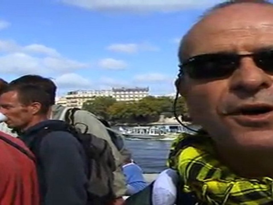 Abeilles en galére dans Paris