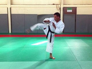 Yoko Geri : Cours de Karaté