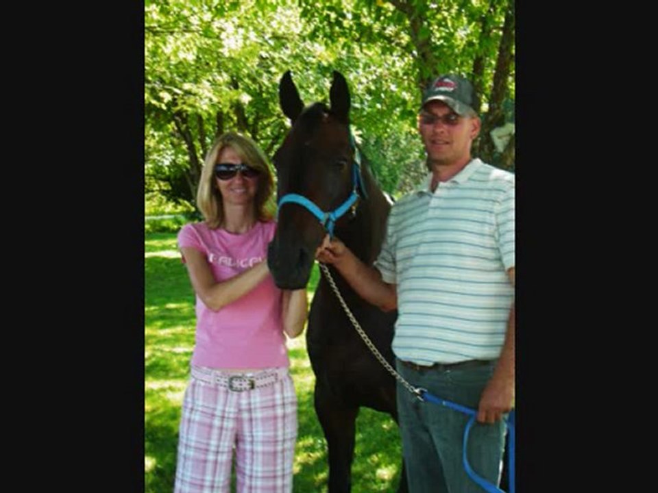 Chevaux Écurie.MSWMM2_0001