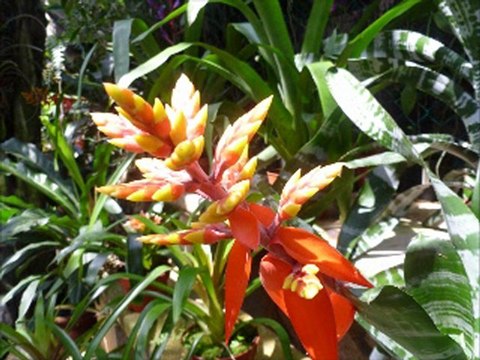 sept. 2011-Méditation-Harmonisation