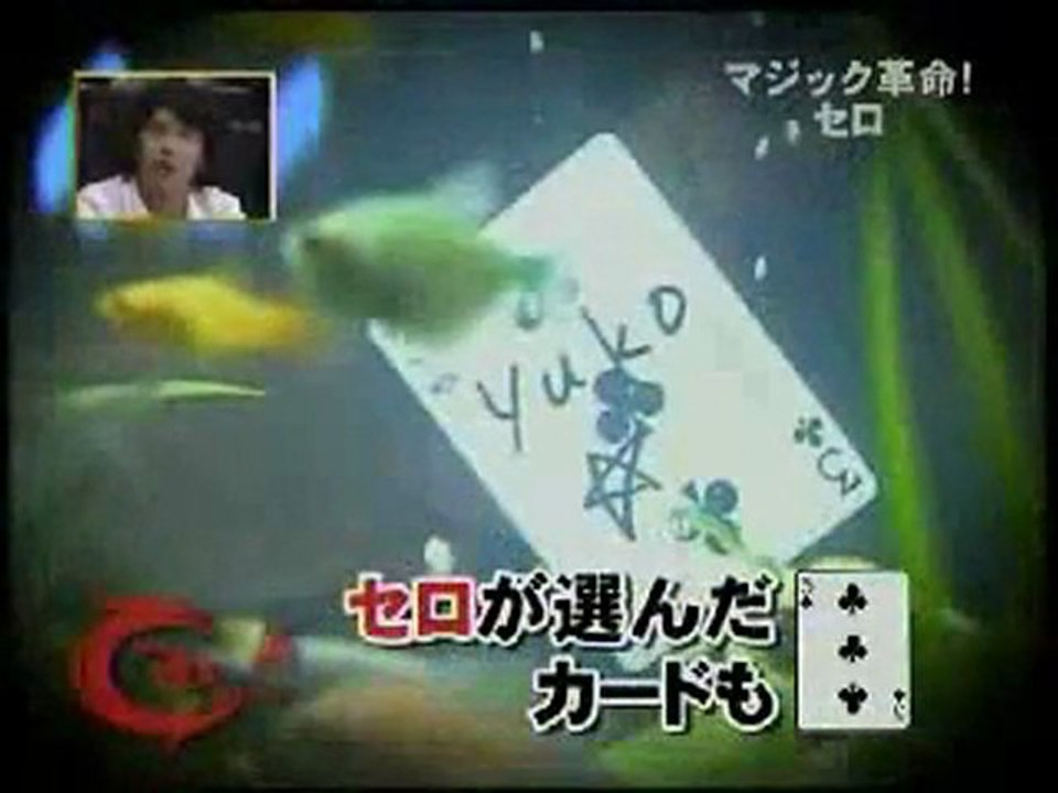 Amazing magic Tricks from japan