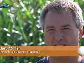 Derniers préparatifs avant les Terres à l'envers (Alsace)