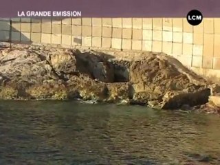 Focus: le club des dauphins (Marseille)