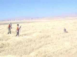 17.09.2011 CAAK SAĞLAM FERMA VURUŞ