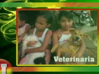 Susana Porterla y las brigadas de ayuda a la comunidad