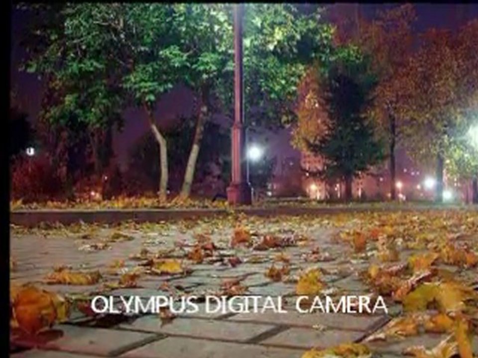 Demet Sağıroğlu-Arnavut kaldırımı