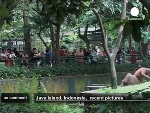 Indonésie - no comment